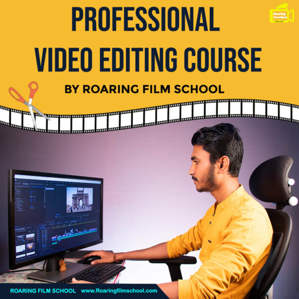 Online Professional Video Editing Course (Hindi)